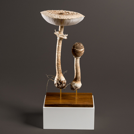 Véronique Clamot - Ombrelle - Sculpture